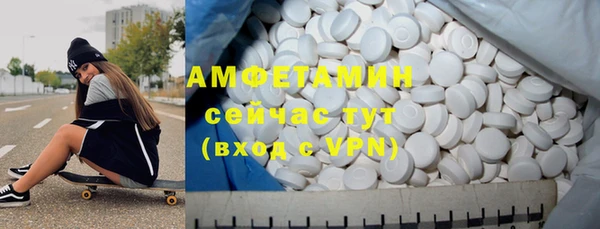 гидра Володарск