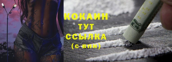шишки Вязьма