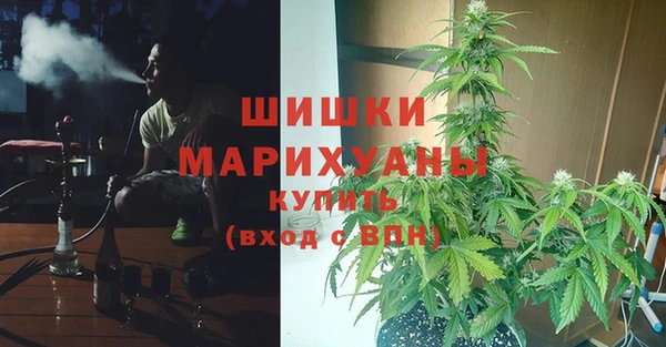 шишки Вязьма