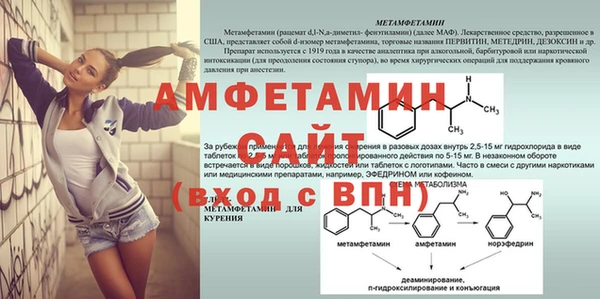 шишки Вязьма