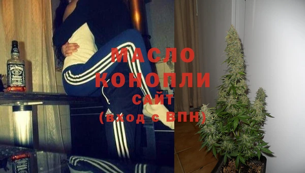 гидра Володарск
