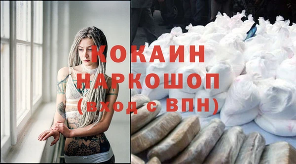 гидра Володарск