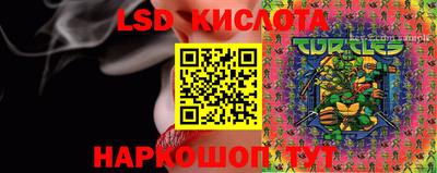 бошки Бийск