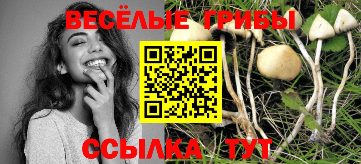 Галлюциногенные грибы ЛСД  Галлюциногенные грибы Magic Shrooms  Вход с VPN  Гулькевичи 